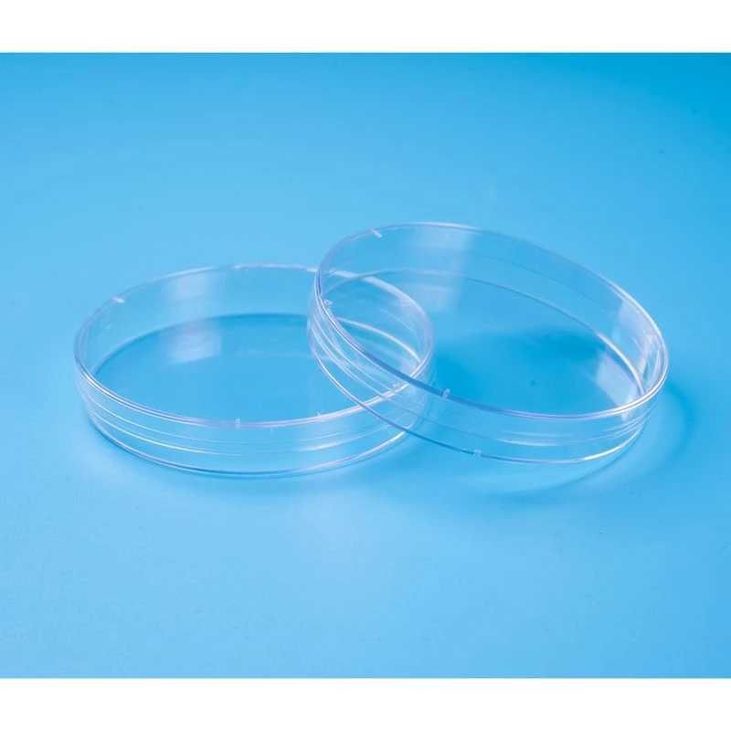 product-800-800